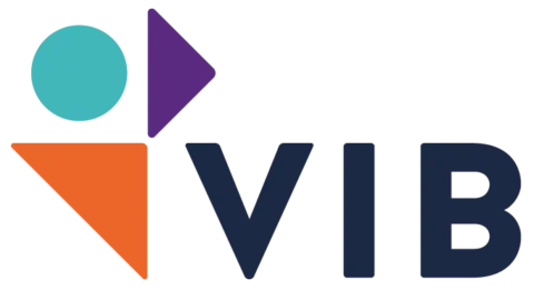 logo VIB